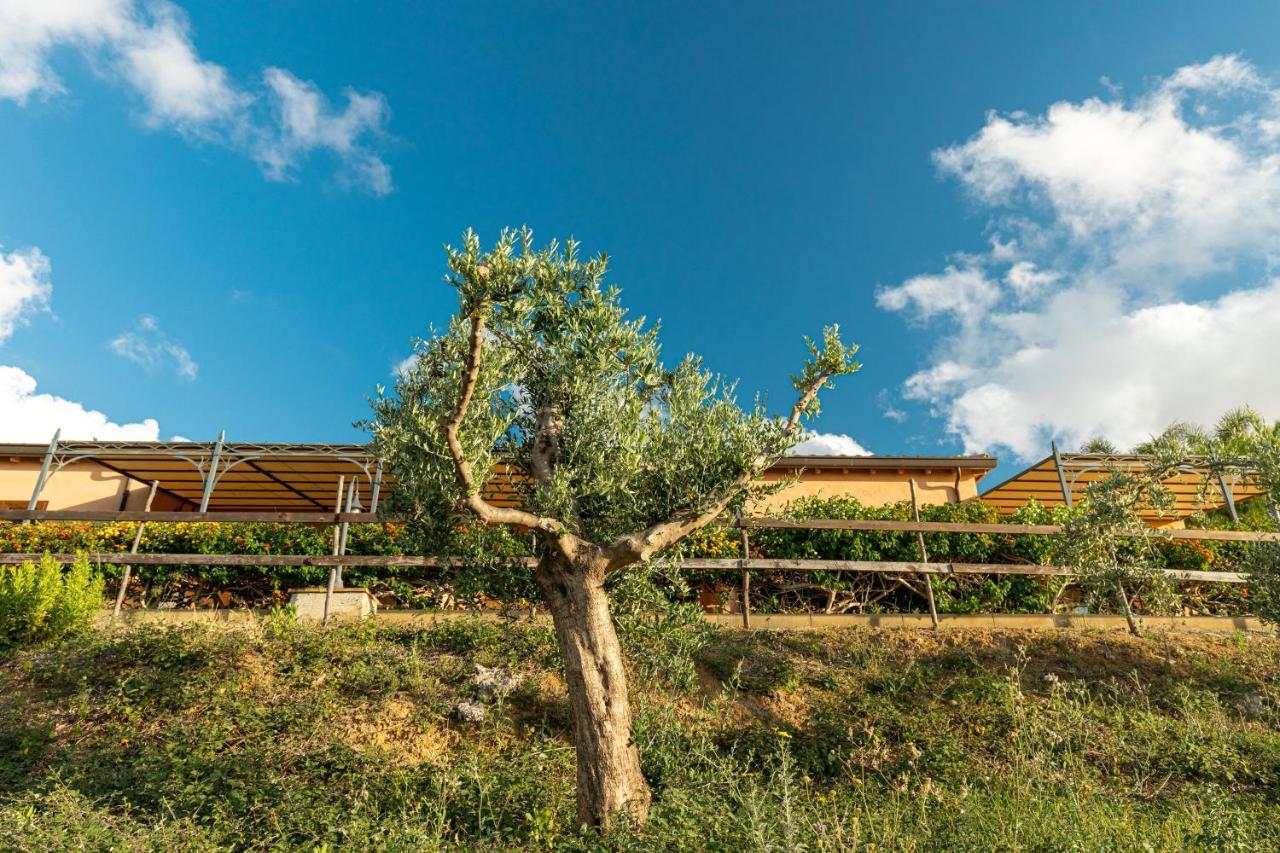 Solemar Sicilia - Le Casette Di Calzata Campofelice Di Roccella Exterior photo