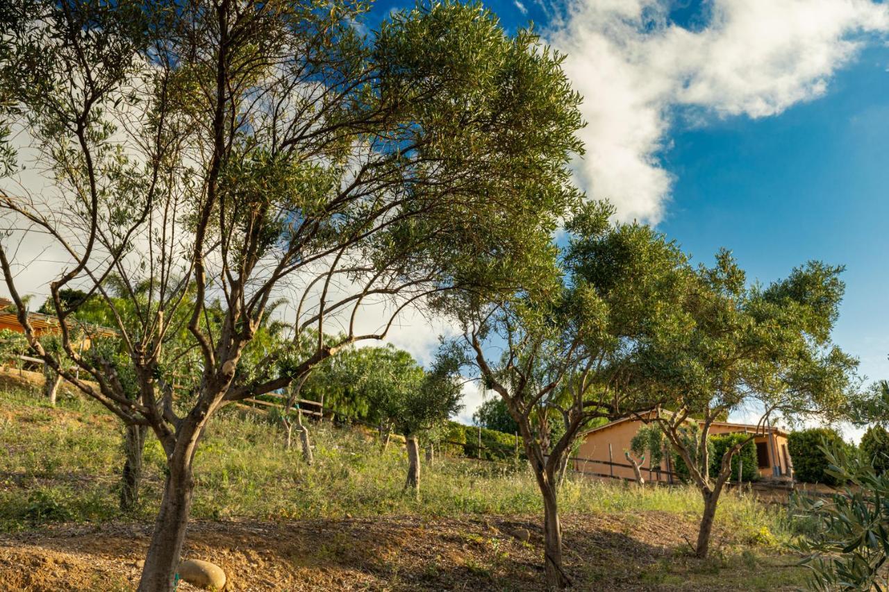 Solemar Sicilia - Le Casette Di Calzata Campofelice Di Roccella Exterior photo