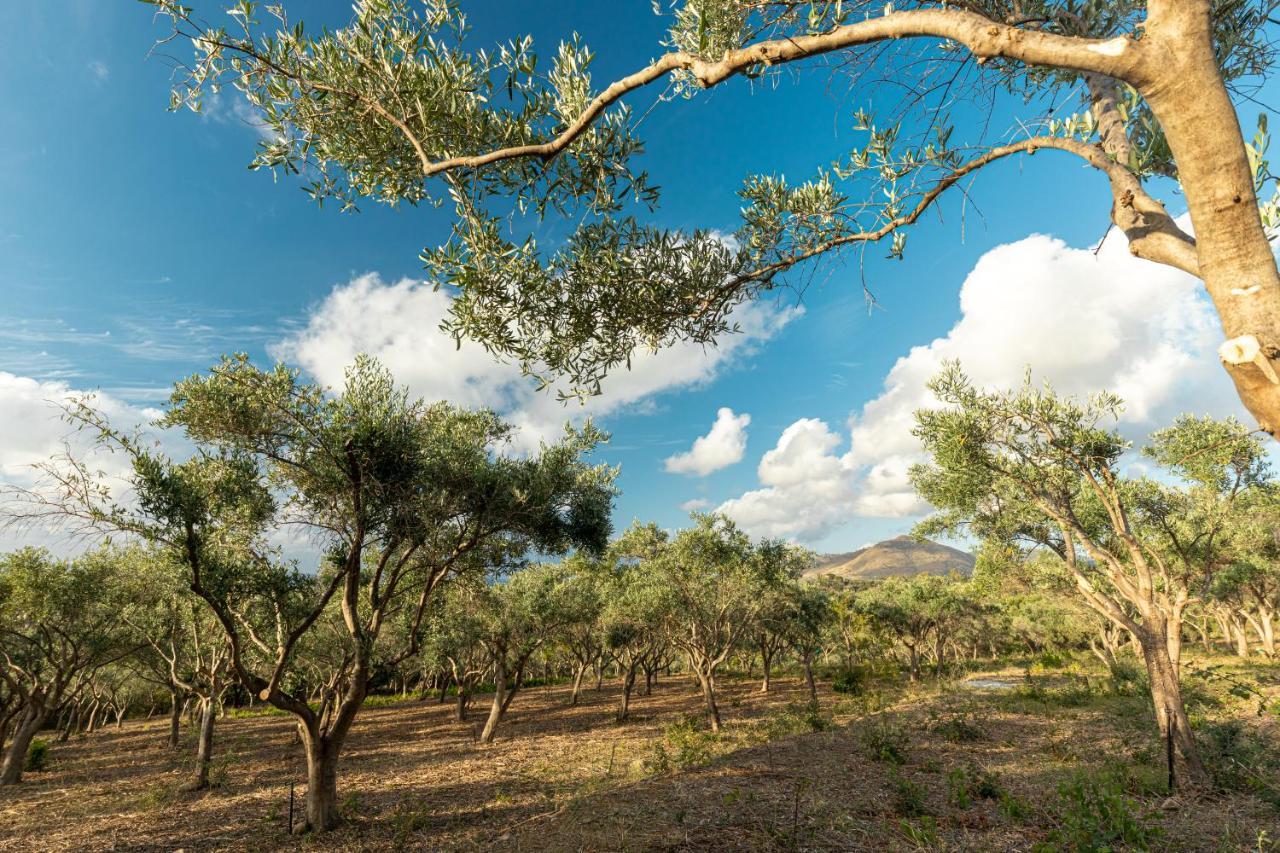Solemar Sicilia - Le Casette Di Calzata Campofelice Di Roccella Exterior photo